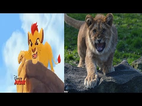 The Lion Guard Characters In Real Life