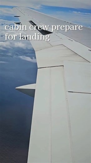 214K views · 2.6K reactions | Flaps in motion. This JAL B767-300ER...