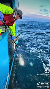 179 reactions · 11 shares | ‘A’ season fishing in the Bering Sea is...