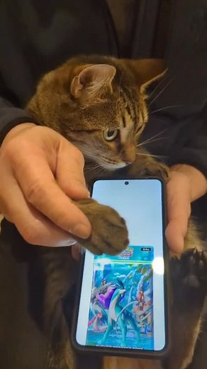 elfie & donnie | Day 2 of opening packs with the grandparents 😂 the way Elfie just melts away at the end Day 174 Elfie Behaviour: 3/5 🫠 Card Rating: 2/5 🫤... | Instagram