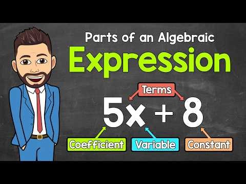 Terms, Variables, Coefficients & Constants | Parts of an Algebraic Expression