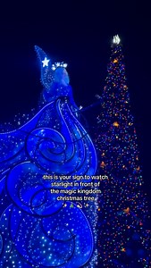My new favorite place to watch Starlight during the holiday season 💙 📸: Starlight 📍Magic Kingdom #disney #disneyworld #disneyparks #magickingdom #disneygram #starlight #disneyholidays #disneychristmas #holidayseason #magickingdomchristmas | Theme Park Girl