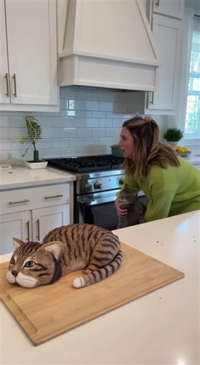 The cat reaction 😱 when she cut the cake