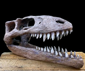 Make a Giant Dinosaur