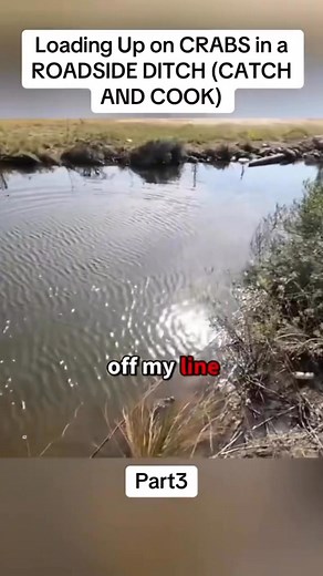 Loading Up on Crabs from a Ditch | Outside the Levees