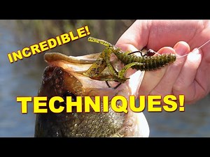 Mastering Texas Rig Fishing in Spring: Essential Techniques & Tips for Pre to Post-Spawn Bass