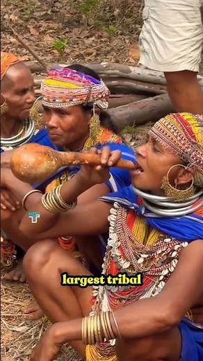 Gond Tribe: India’s Largest Tribe & Their Sacred Forest Secrets 🌳#shorts #tribalunity #tribal