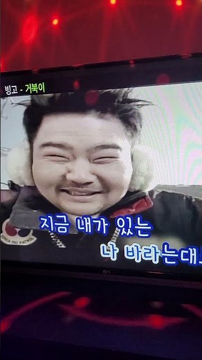 거북이ㅡ빙고 터틀맨 따라잡기