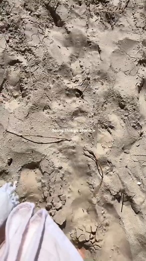 4.3K views · 15 reactions | Doing Things Alone > ❤️ #Independent #Solodate #Reels | Conagh Kathleen | Facebook