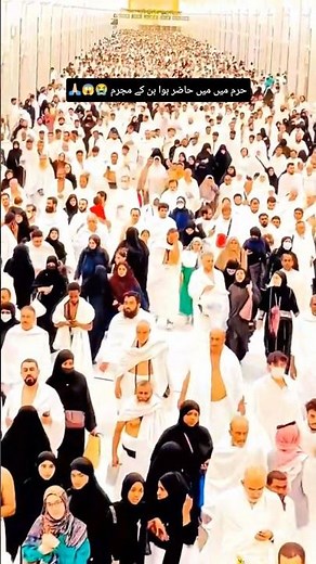 Ya Rabbana Irham Lana | Beautiful Emotional Naat by Syeda Areeba | Heart Touching Islamic Naat