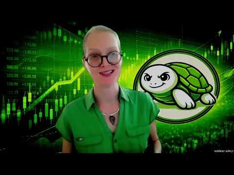 Tiny Turtle Trading Introduction