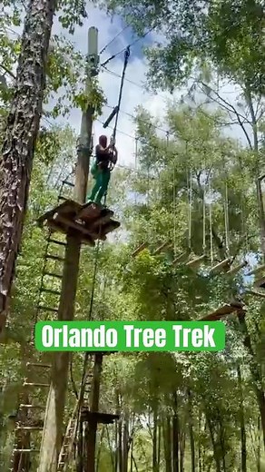 Orlando Tree Trek Outdoor Adventure!