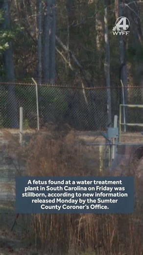 Fetus found at South Carolina water treatment plant