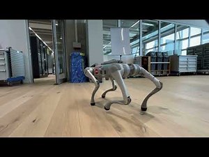Robotic Dogs Transform Industry | Smart Automation with AI & JIVS