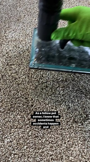 Let’s clean up a pet spot! #cleaningtips #howto #Pets | Clean That Up