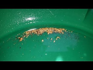 The Welsh Gold Expedition Good Gold