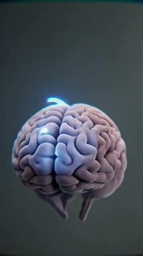 False Memory Effect #PsychologyFacts#FalseMemory#BrainFacts#MindMystery#HumanPsychology