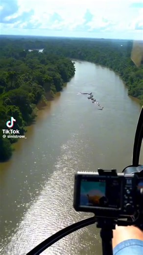 😱😱😱😱 #ужас #анаконда #питон