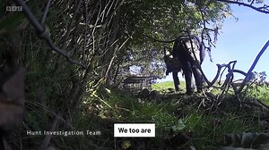 3.5K views · 69 reactions | Dealing with the ineffective badger cull costs us £100 million a year! What a waste. Support our efforts to end the cull by signing our government petition here  https://petition.parliament.uk/petitions/700317 | Protect the Wild | Facebook