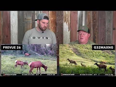 Stealth Cam PXV26 vs GMAX32 Trail Cameras