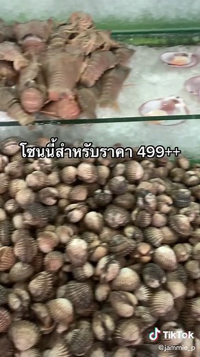 บุฟเฟต์ทะเลเผา กินแค่กุ้งก็คุ้มแล้ววว #มังกรซีฟู้ด #ทะเลเผา #บุฟเฟ่ต์ #ซีฟู้ด #รีวิวบุฟเฟ่ต์ #ปิ้งย่าง #ร้านแนะนำ #อร่อย #ย่านฝั่นธน #ราษฏร์บูรณะ #ร้านอร่อยบอกต่อ #fyp