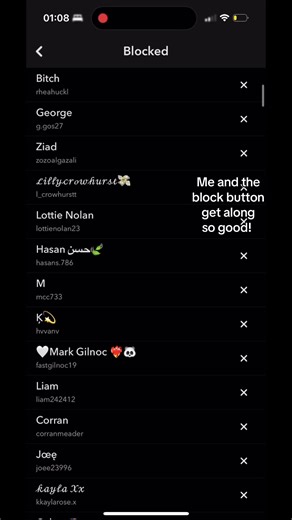 lillyfigura on TikTok
