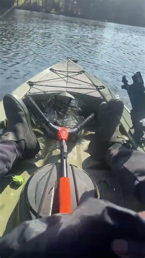 Crappie on the line!