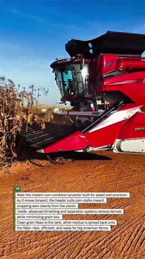 Powerful Corn Combine Harvester Cuts Harvest Time Fast #HarvestTech #USAFarming #AgriMachinery