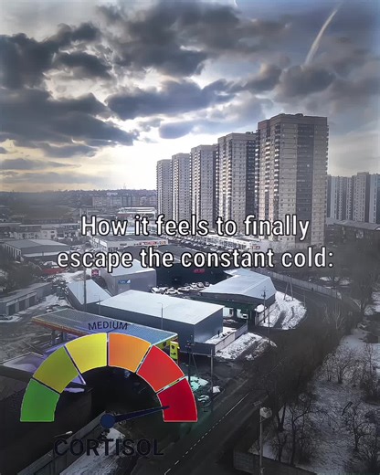 just live in nature #nature #bp #north #iran🇮🇷 #cortisollevels