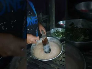 Staple food of East Sepik in Papua New Guinea