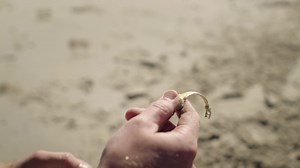 Check out the new EQUINOX 700 and EQUINOX 900. Good things come in twos. #Minelab #EQUINOX700 #EQUINOX900 #MetalDetectors #MinelabDetecting | Minelab Metal Detectors