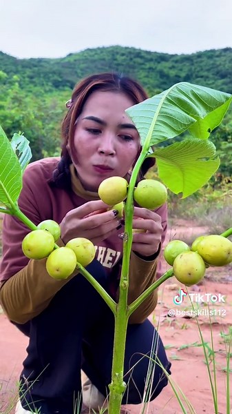 Survival Skills Using Worms for Outdoor Cooking
