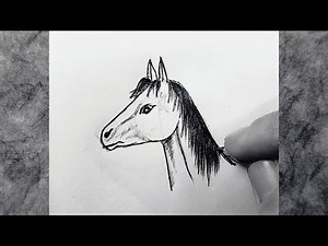 How to Draw a Horse Head with Pencil / Easy Tutorial Step by Step