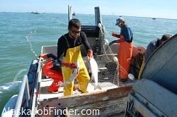 Grab a Deckhand Job on a Fishing Boat in Alaska!