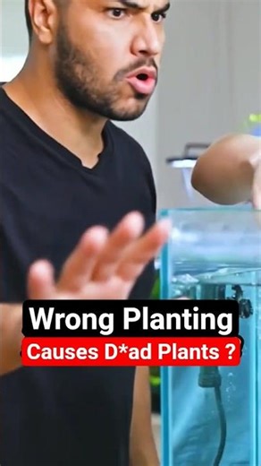 Types Of Aquatic Plants & Their Care 🌿 #plantedaquarium #aquaticplants #shorts