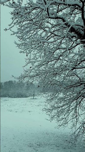 Serene Snowy Winter Landscape Scene