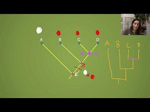 Understanding Cladograms and Testing Phylogenetic Hypotheses
