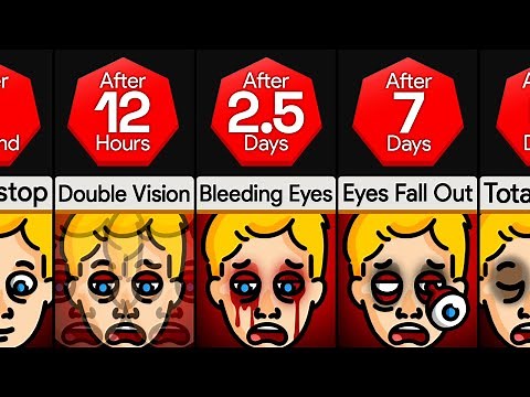 Timeline: What If You Blinked Nonstop