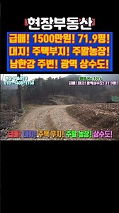 급매 1500만원 대지 주택부지 주말농장 71평 #급매 #대지 #남한강 #주택부지 #가대리