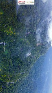 Experience the ethereal beauty of Agumbe Ghat Hills as they become draped in clouds during the monsoon season. Don't miss this enchanting haven, but remember to travel responsibly. Please refrain from littering, including plastic bottles and other garbage. Let's keep our surroundings clean and pristine, allowing us to fully enjoy and appreciate the captivating beauty of nature. VC 🎥: @sanchari_kannadiga #agumbe #ghat #monsoon #nature #karnataka #NammaKarnataka #karnatakatourisim #visitkarnataka