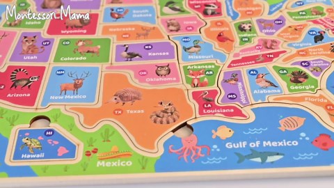 Montessori Mama World Map Wooden Puzzle, Continents and Oceans Puzzles for Kids Ages 4-6. Perfect Educational Toys for 4 Year Old Including Global Landmarks, Animals and Marine Life
