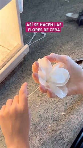 ¿Quieres saber cómo se hacen las flores de cera?