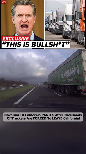 #news #foxnews #unitedstates #trump #fyp | fox news anchor