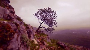 16K views · 490 reactions | The Secret Wedding from Braveheart Something Beautiful, out of this material world... by Fordante https://www.youtube.com/channel/UCbrPAPcIS2bZ9bf1aiV8GkA | Bellator | Facebook