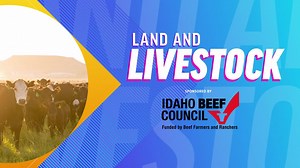 Did you know that J.R. Simplot Company is known for more than potatoes? We couldn't be more proud to share this segment featuring J.R. Simplot Company Land and Livestock Division President, Tom Basabe and their dedication to producing safe, nutritious beef. #Simplot #Beef #Idaho #steakandpotatoes #IDAg #Livestock #LoveIdahoBeef #BeefItsWhatsForDinner | Idaho Beef Council