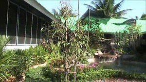 Fruit Farm - Wonderful Fruits of the Asian Paradise - Bangkok, Thailand Holidays