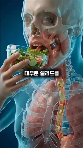 🔆🄹🅄🄽🄶 - 🅆🄾🄽 🄿🄰🅁🄺🥋 on Instagram: "식사전 샐러드를 먹으면 몸에서 일어나는 일 #샐러드 #다이어트 #바이오해킹"