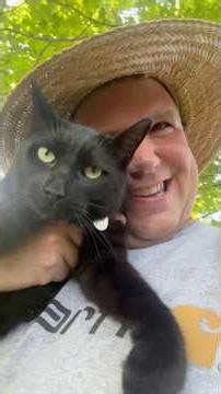 My Barn Cat Herding System