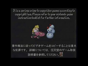 Mario Kart 64: Anti-Piracy Screen