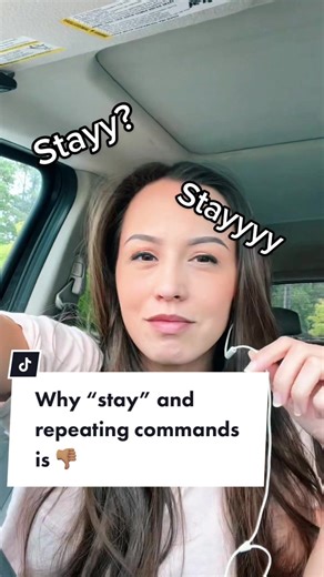“How to teach my dog to stay” is a common question and what ill tell people is that the first thing is to not use the word “stay” improperly. You can use the word stay. Just condition it correctly. “How to stop repeating commands to my dog” is another one. And this is sometimes the reason behind why your dog isnt listening until the 3rd or 4th “sit” command. Food for thought! #dogtraining #dogtrainingcommands #staycommand #sitcommand #dogtrainingguide #dogconversations #dogtraininghelp #puppytra